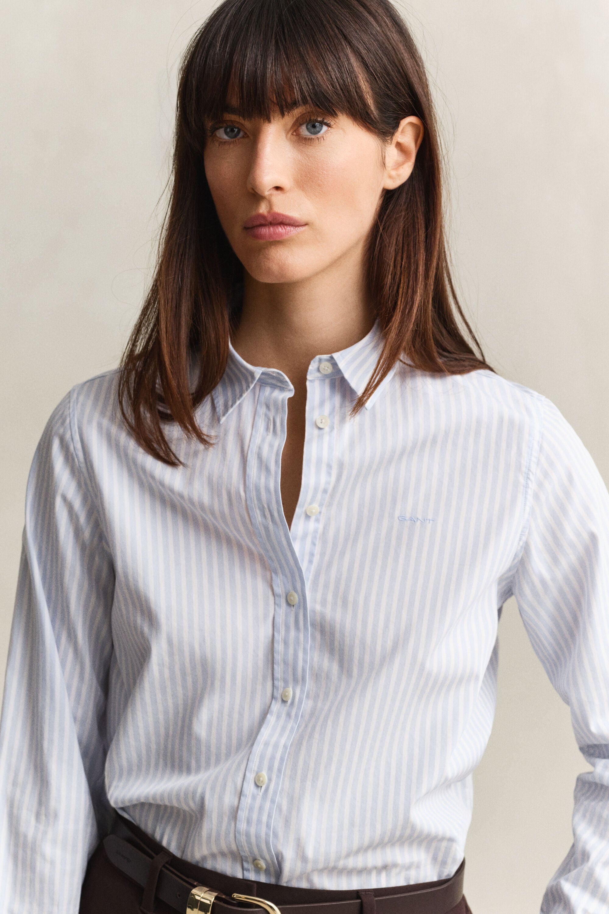 Regular Fit Striped Classic Poplin Shirt