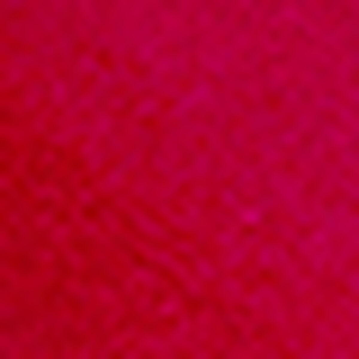 Campus Wristwatch — RED