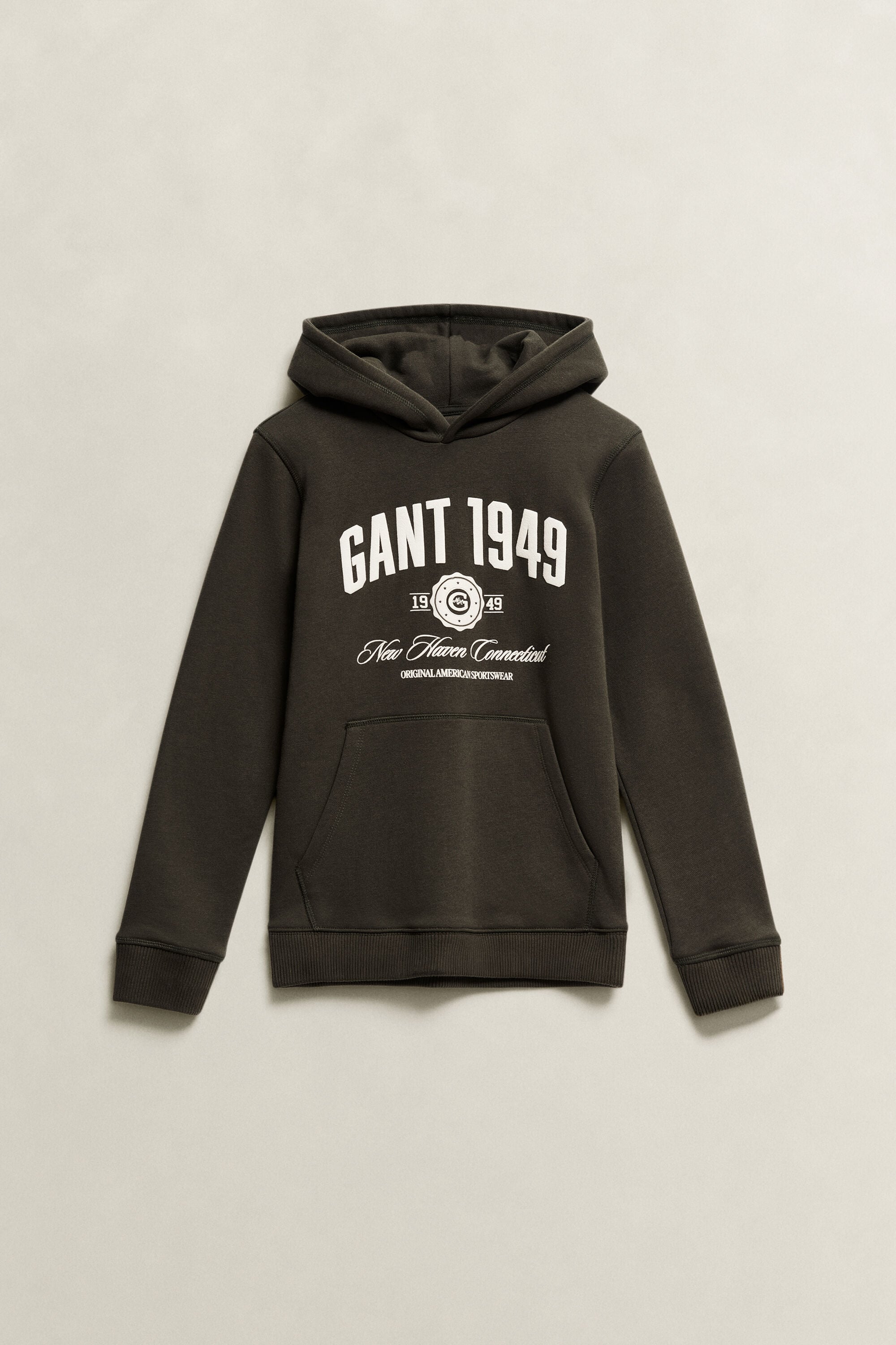 Teen Boys Collegiate Hoodie