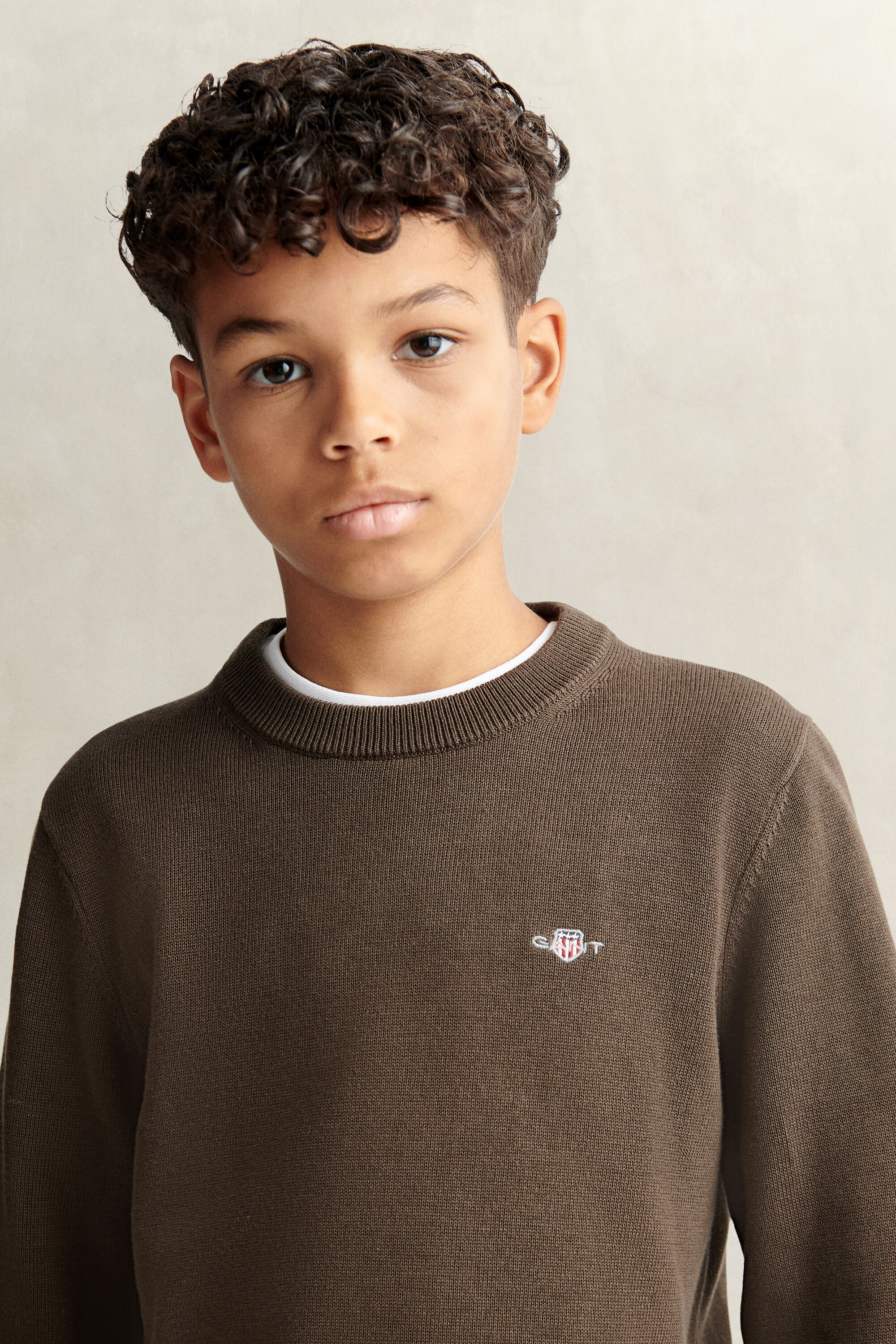 Teen Boys Shield Sweater