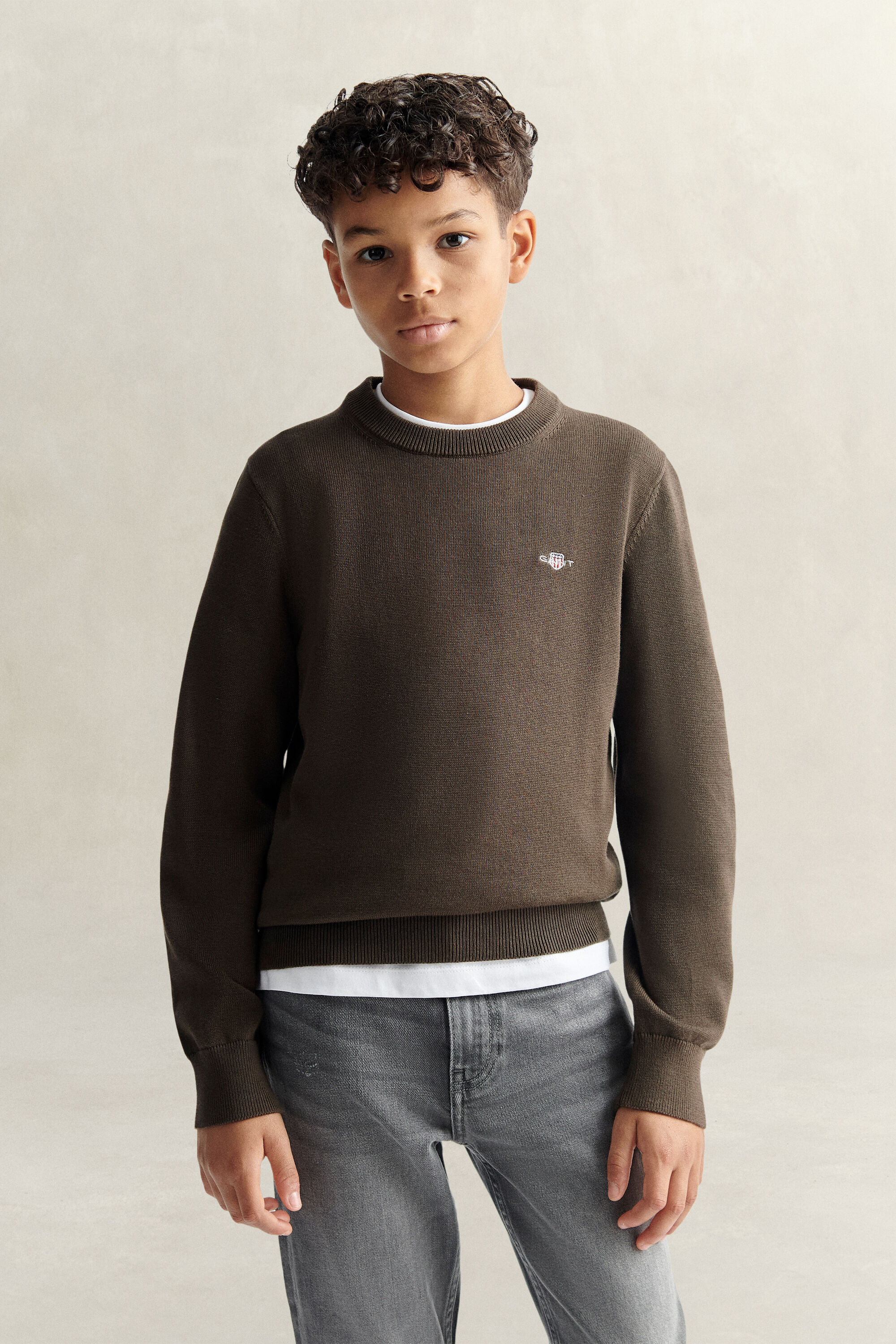 Teen Boys Shield Sweater