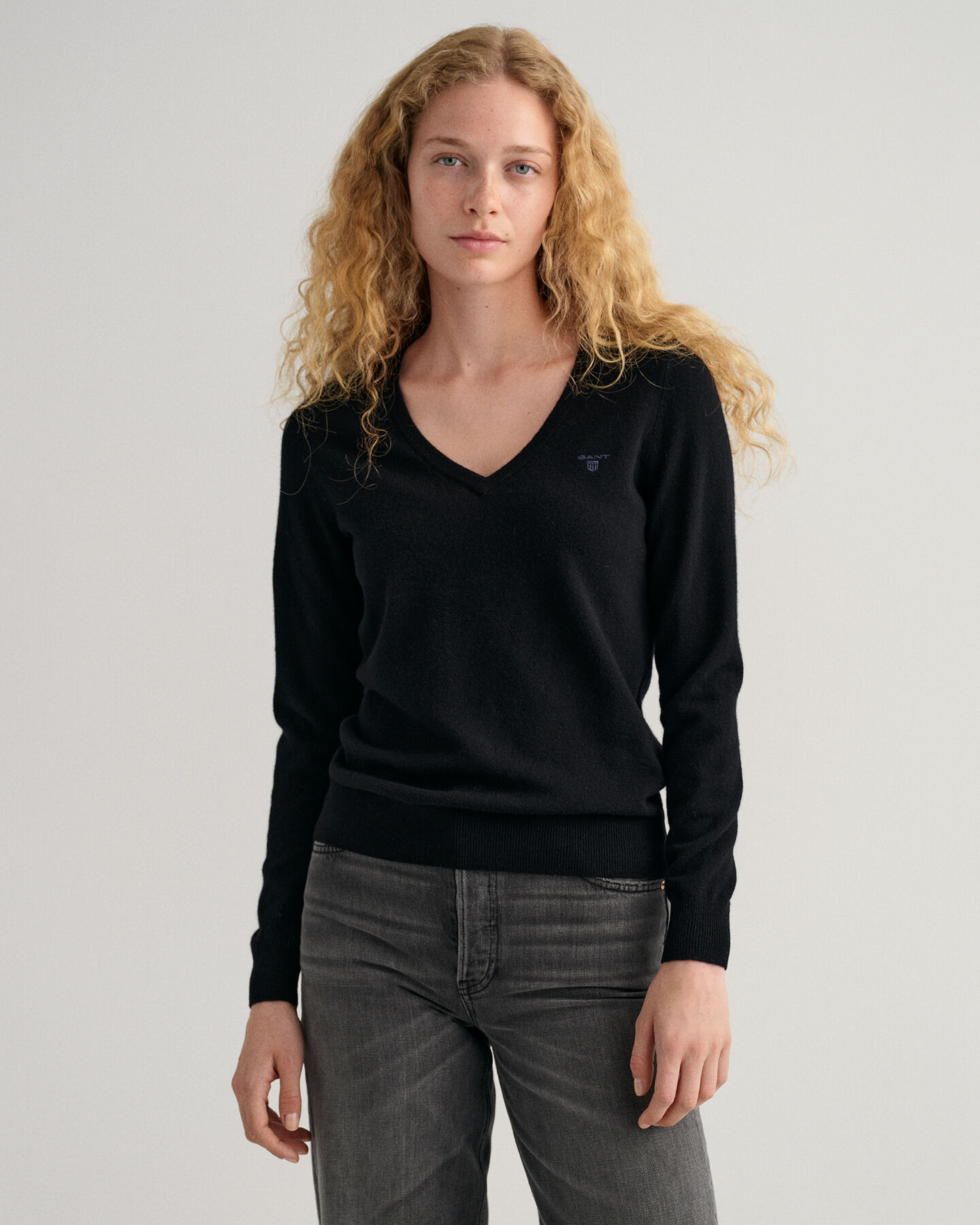 Extra Fine Lambswool V-Neck Sweater