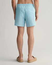 Classic Fit Seersucker Swim Shorts