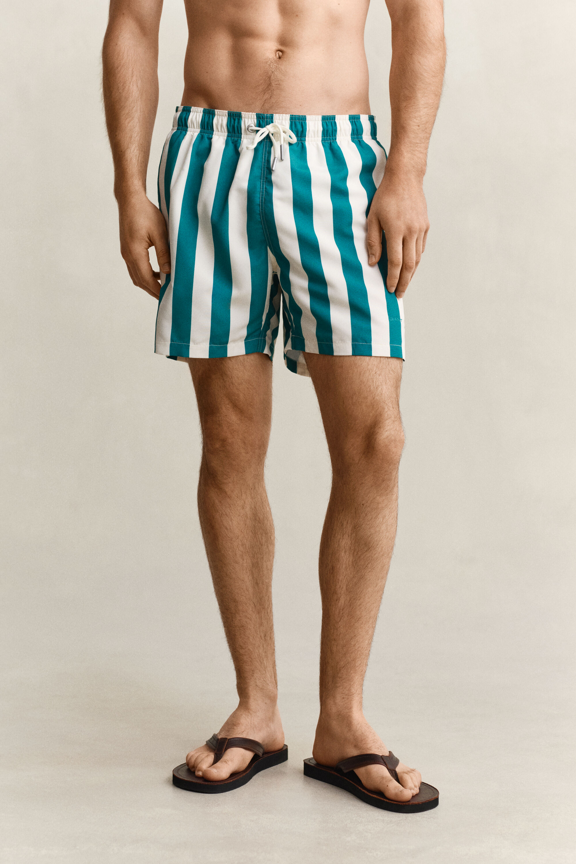 Block Striped Swim Shorts