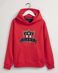Teens Banner Shield Hoodie