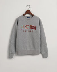 USA Graphic Crew Neck Sweatshirt