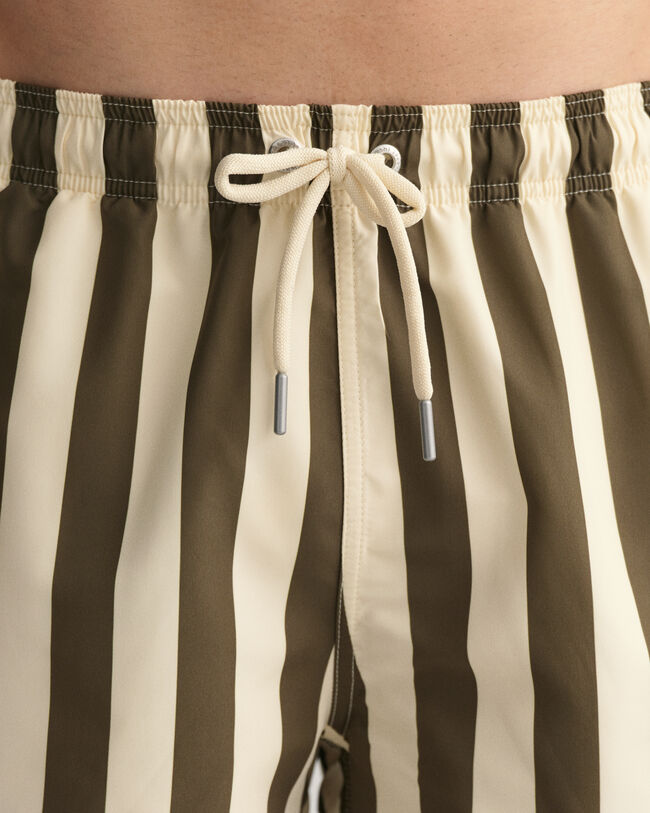Classic Fit Block Stripe Swim Shorts