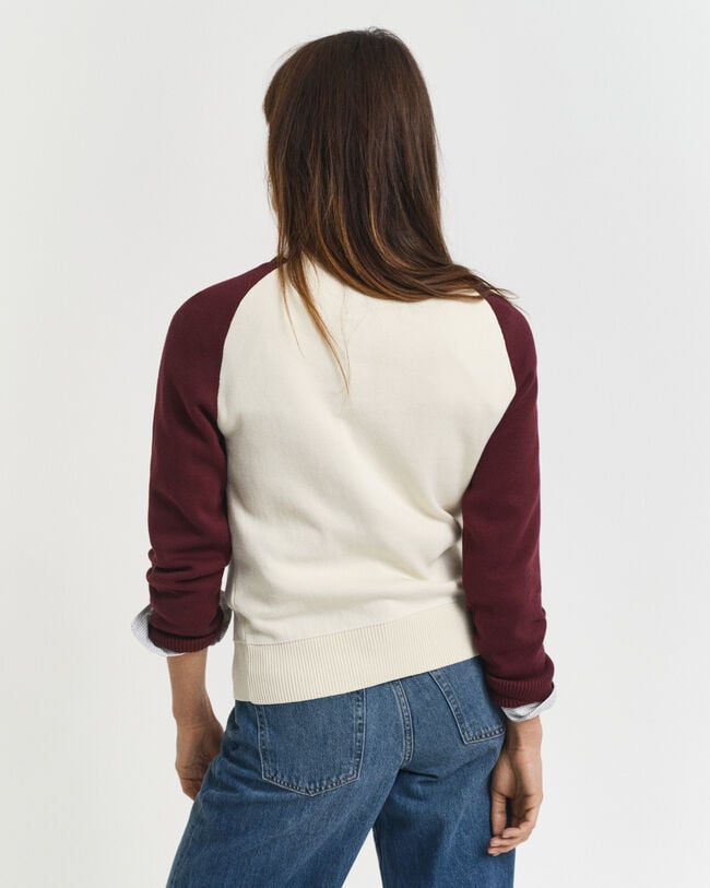 Color Blocked Crew Neck Sweater