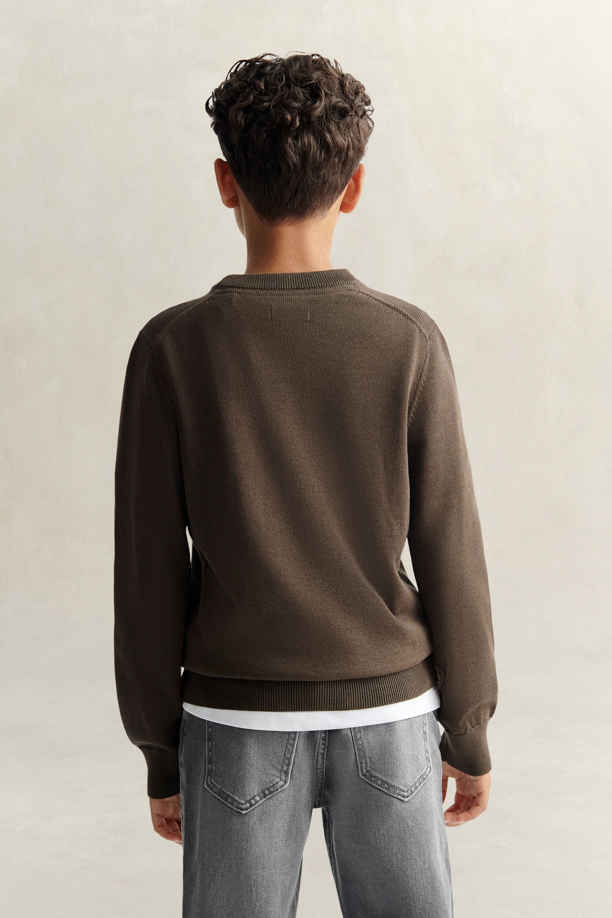 Teen Boys Shield Sweater