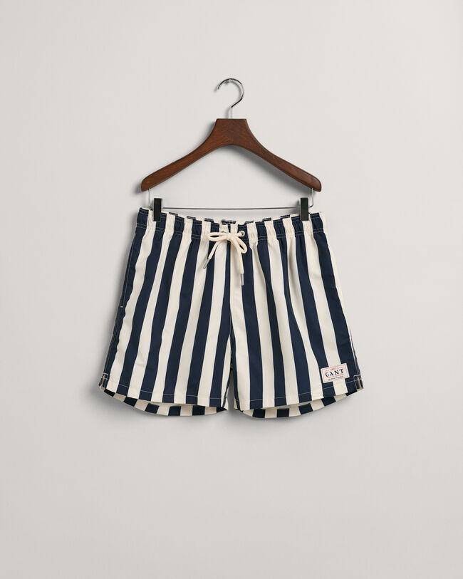 Classic Fit Block Stripe Swim Shorts