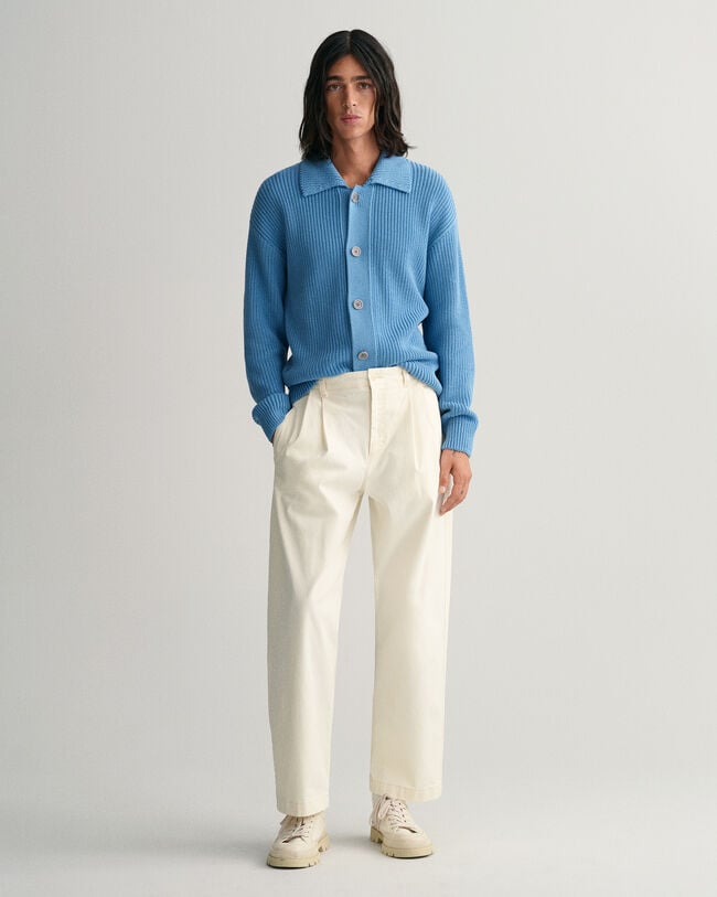 Relaxed Fit Pleated Chinos