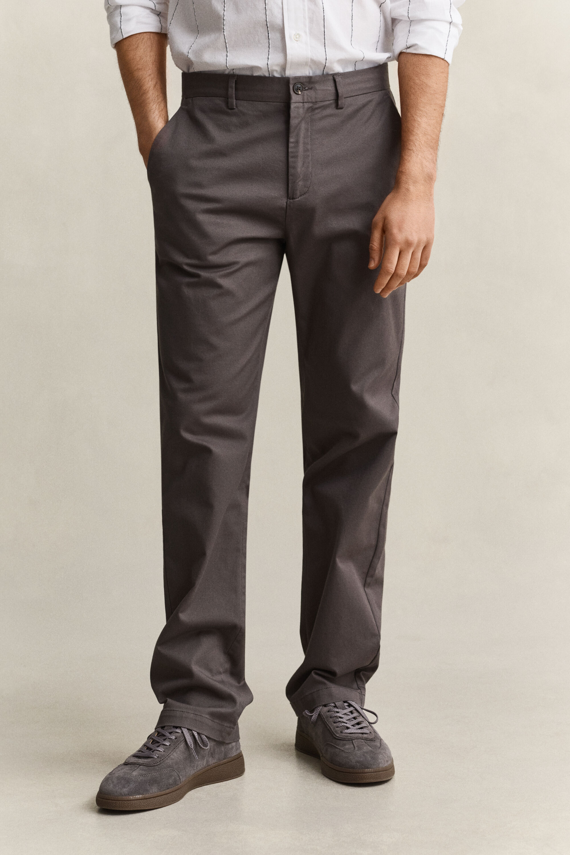 Regular Fit Smart Chinos