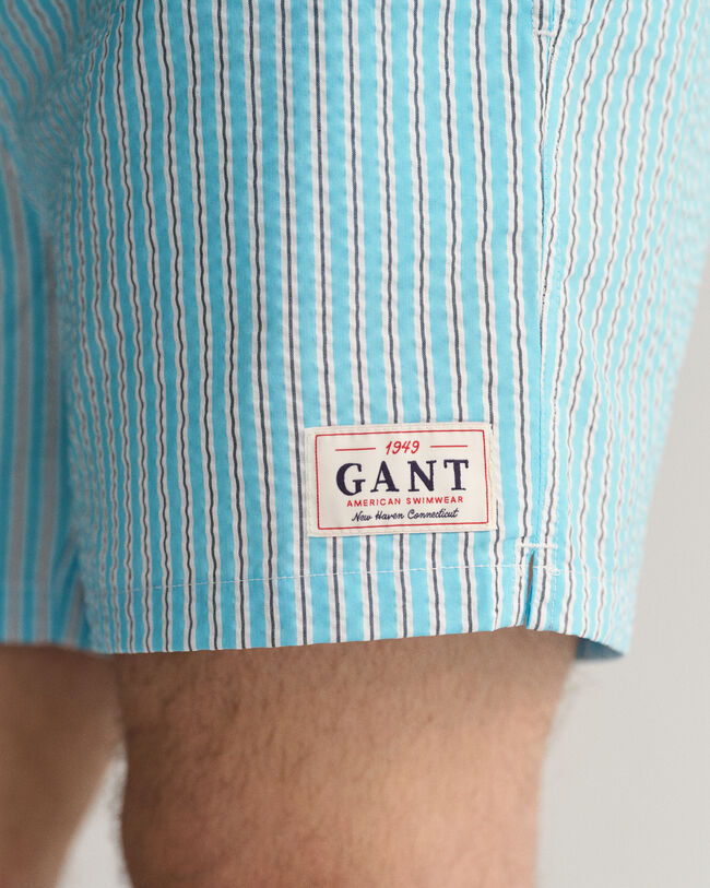 Classic Fit Seersucker Swim Shorts