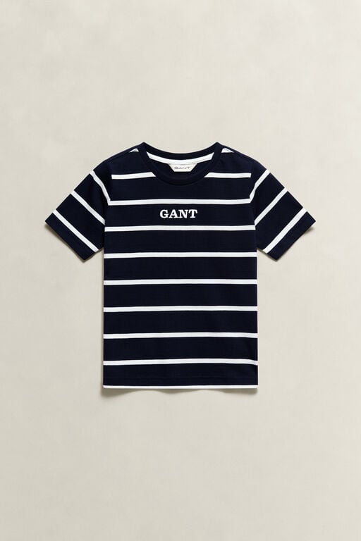 Boys Striped Graphic T-Shirt