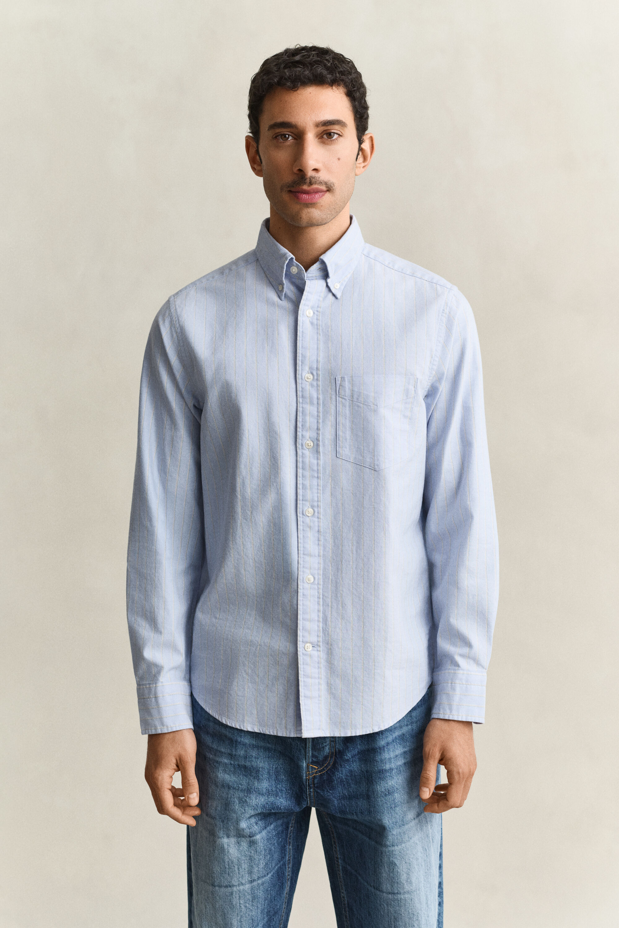 Striped Archive Oxford Shirt