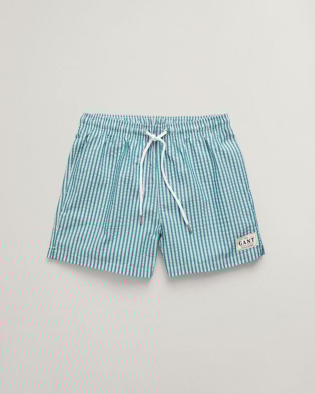 Seersucker Swim Shorts
