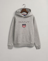 Teen Boys Shield Hoodie