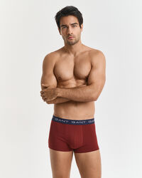 3-Pack Multistriped Trunks