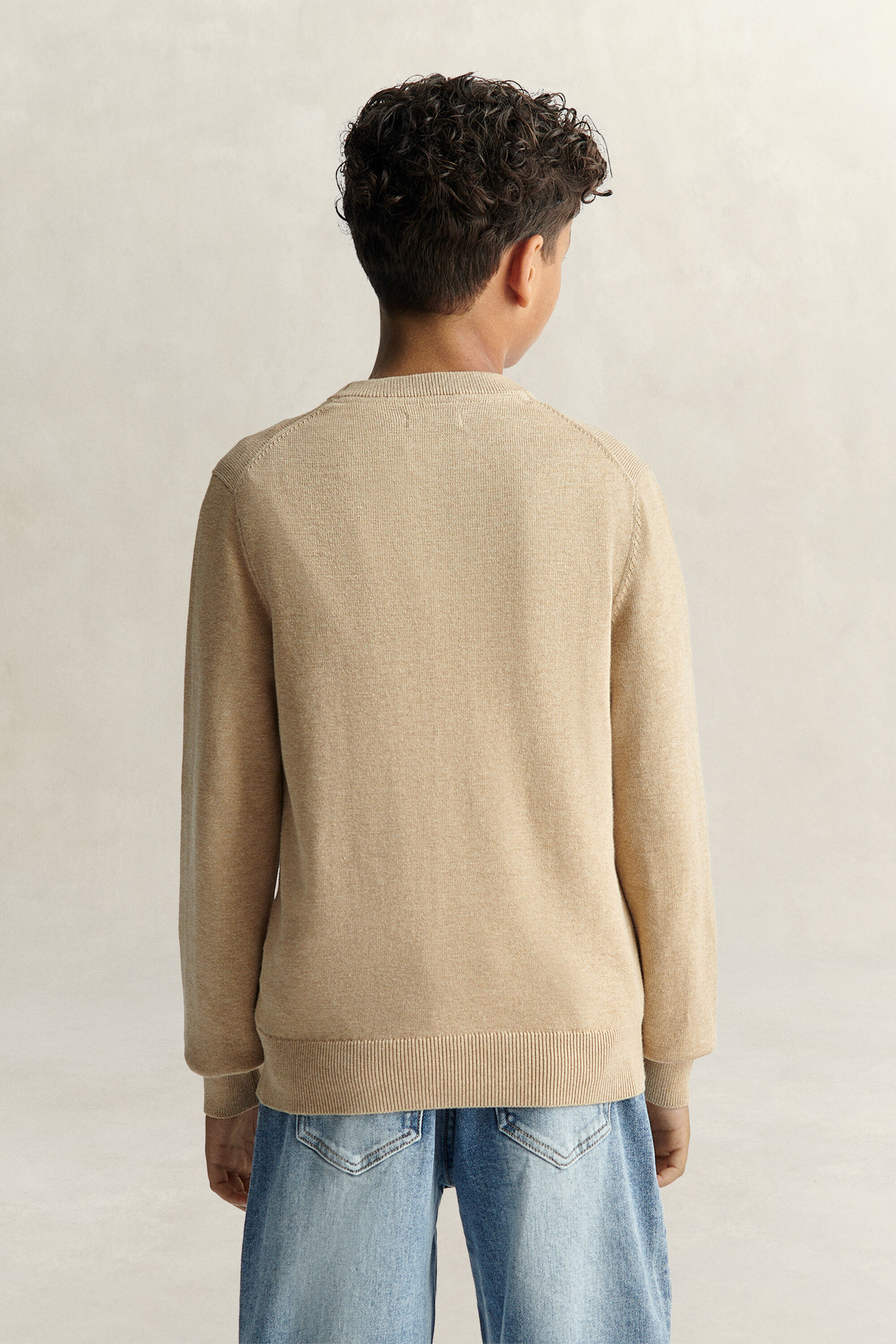 Teen Boys Shield Sweater