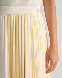 Striped Pleated Skirt