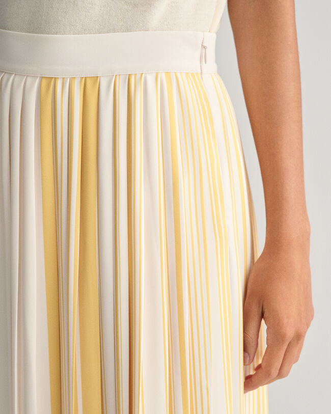 Striped Pleated Skirt