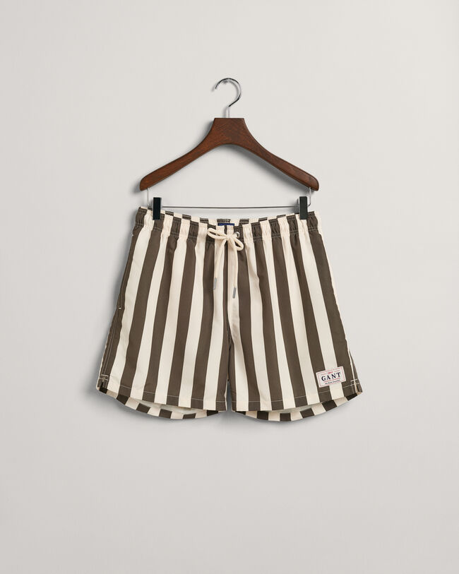 Classic Fit Block Stripe Swim Shorts