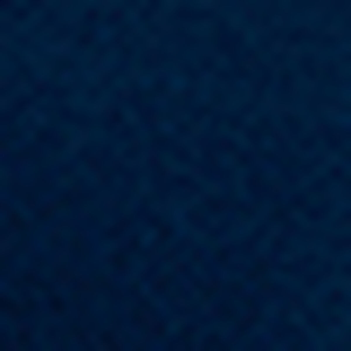 Graduate Wristwatch — NAVY