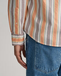 Regular Fit Colorful Striped Shirt