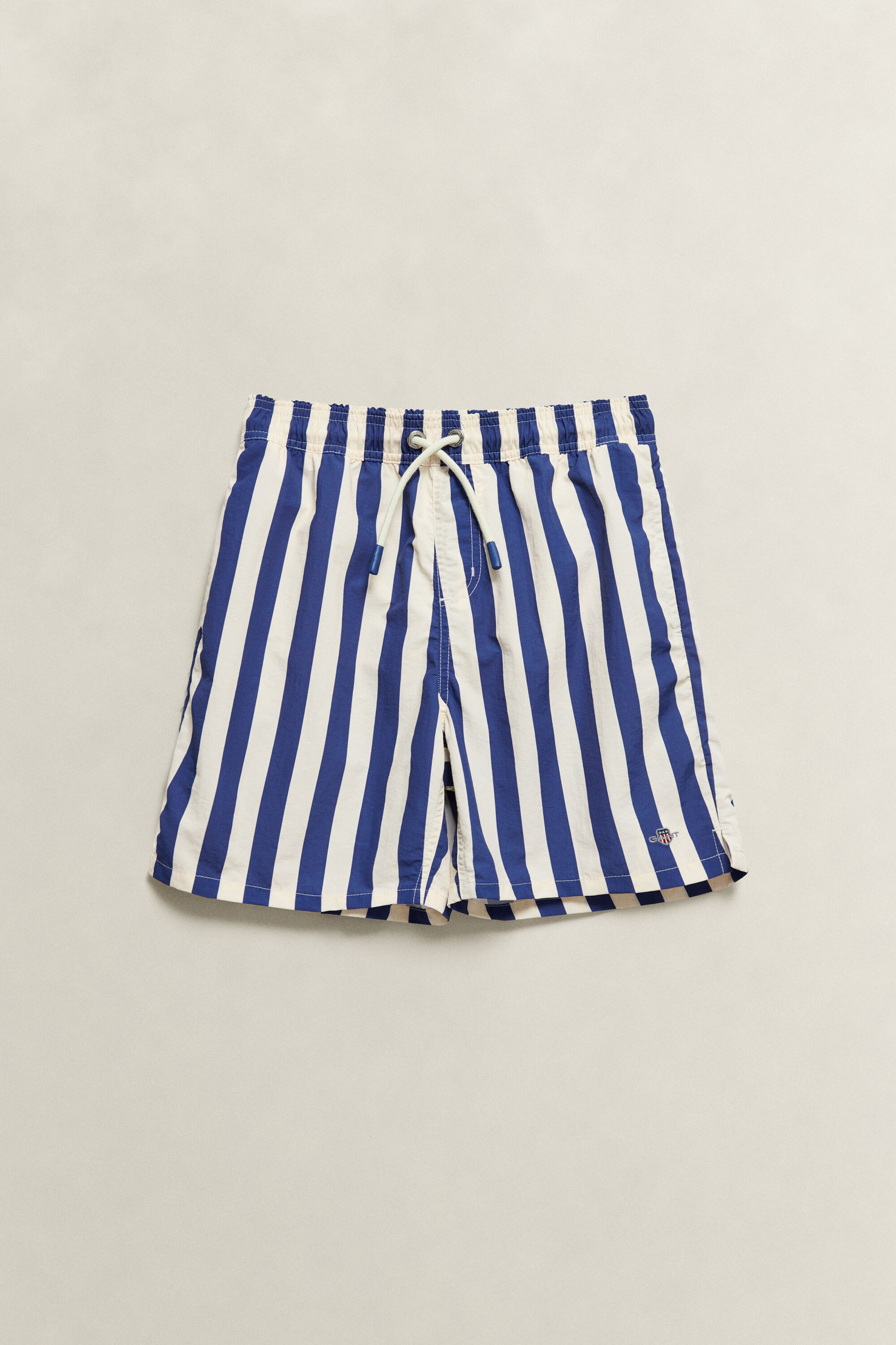 Teen Boys Striped Swimshorts