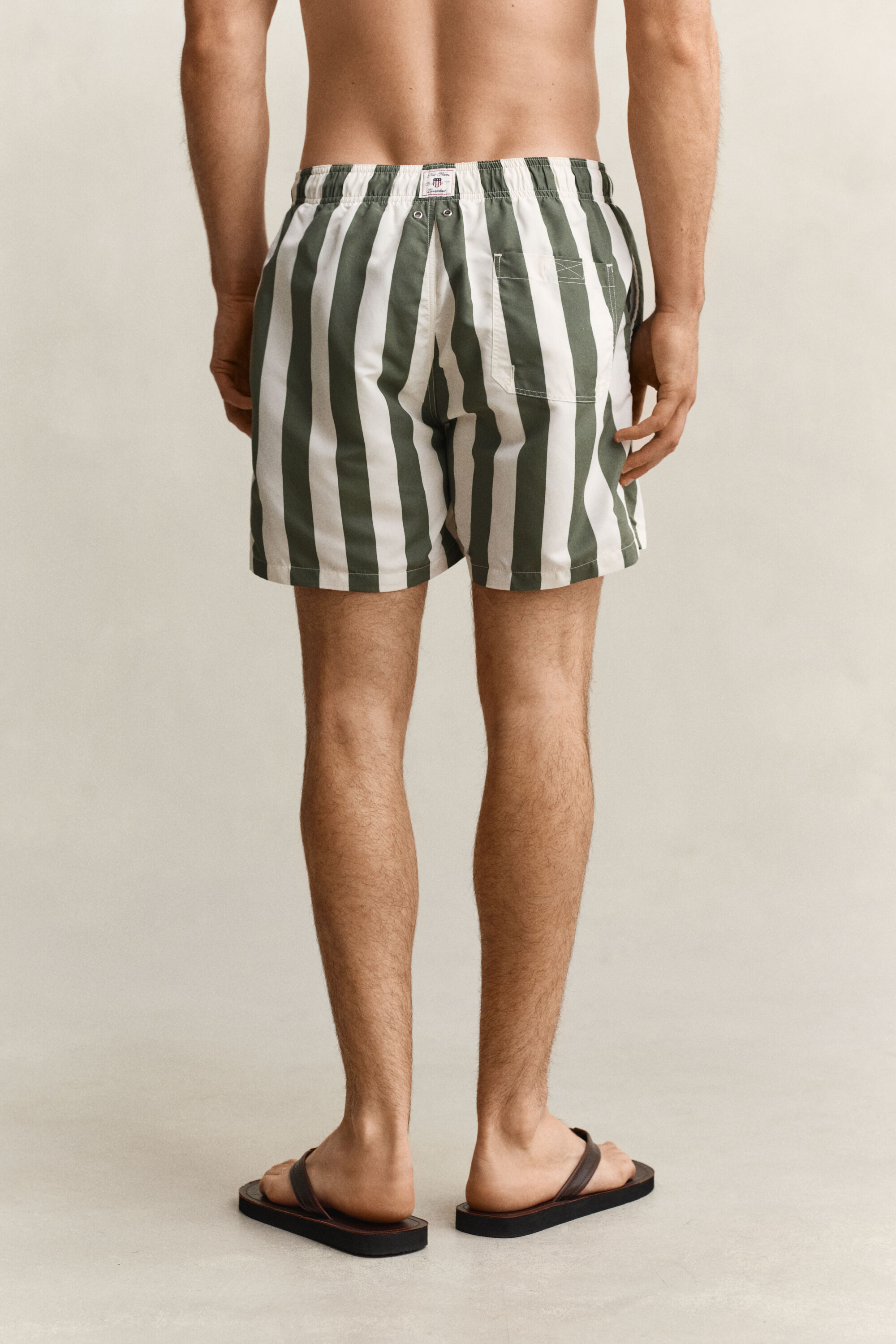 Block Striped Swim Shorts