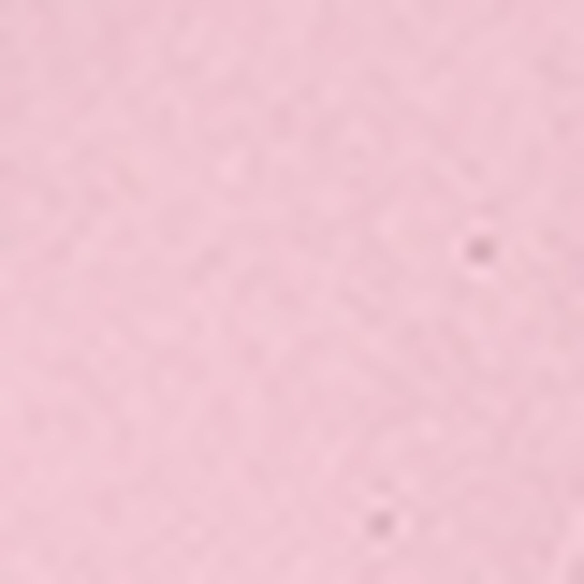 Graduate Wristwatch — PREPPY PINK