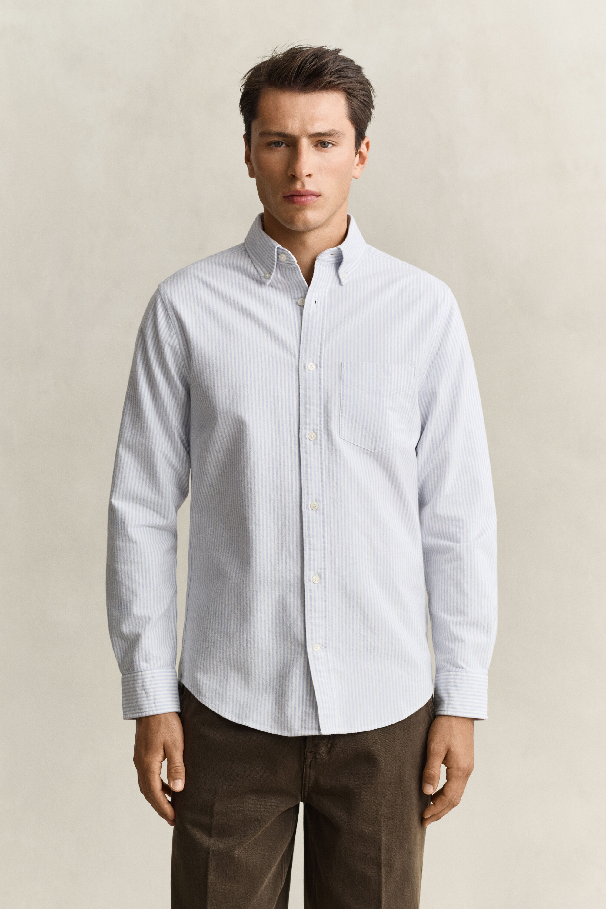 Striped Brushed Oxford Shirt