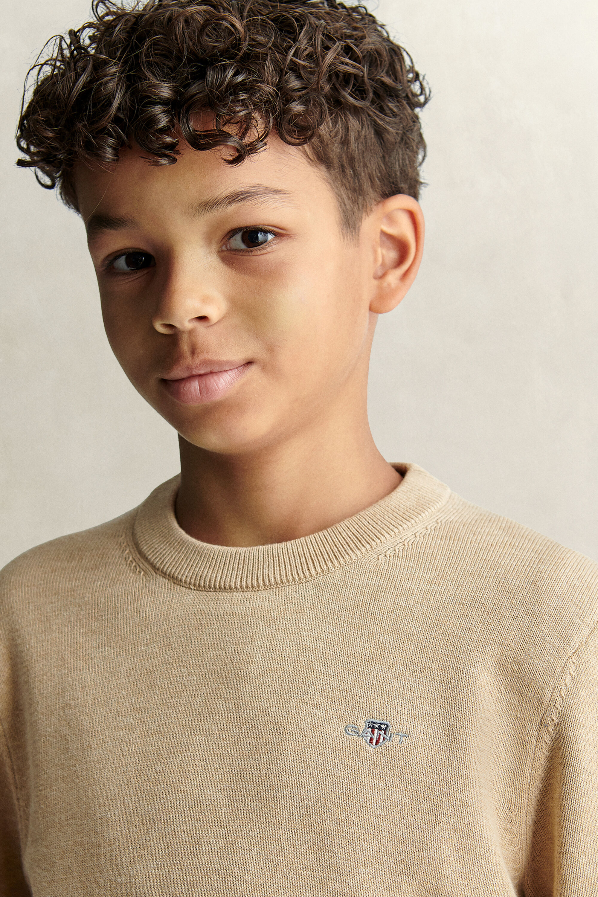 Teen Boys Shield Sweater