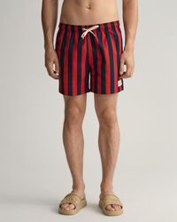 Classic Fit Block Stripe Swim Shorts