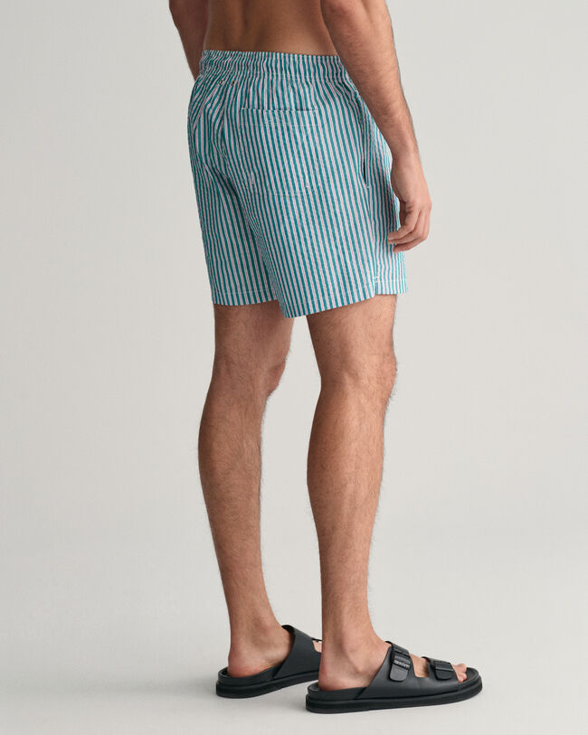 Seersucker Swim Shorts