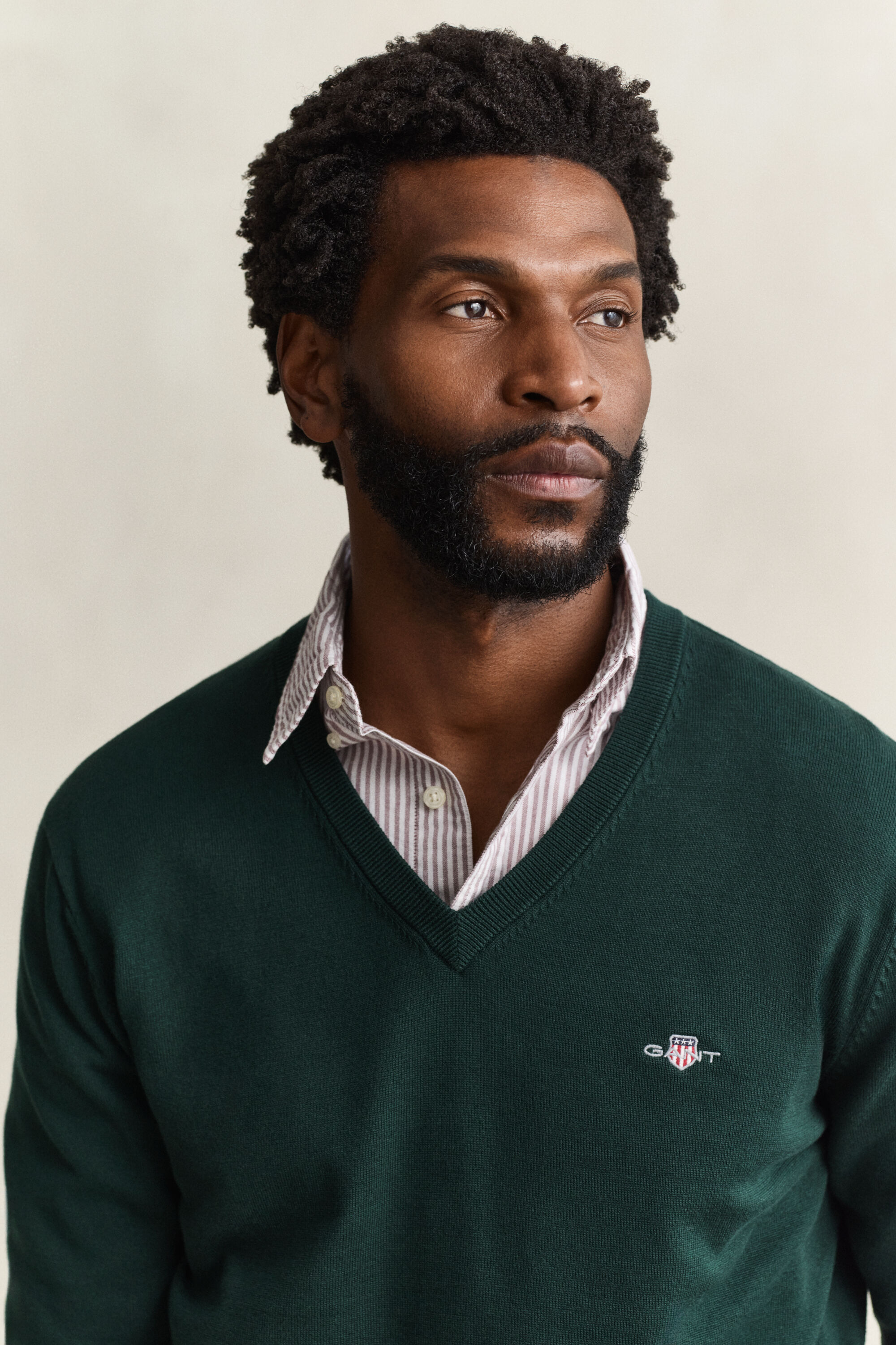 Cotton V-Neck Sweater