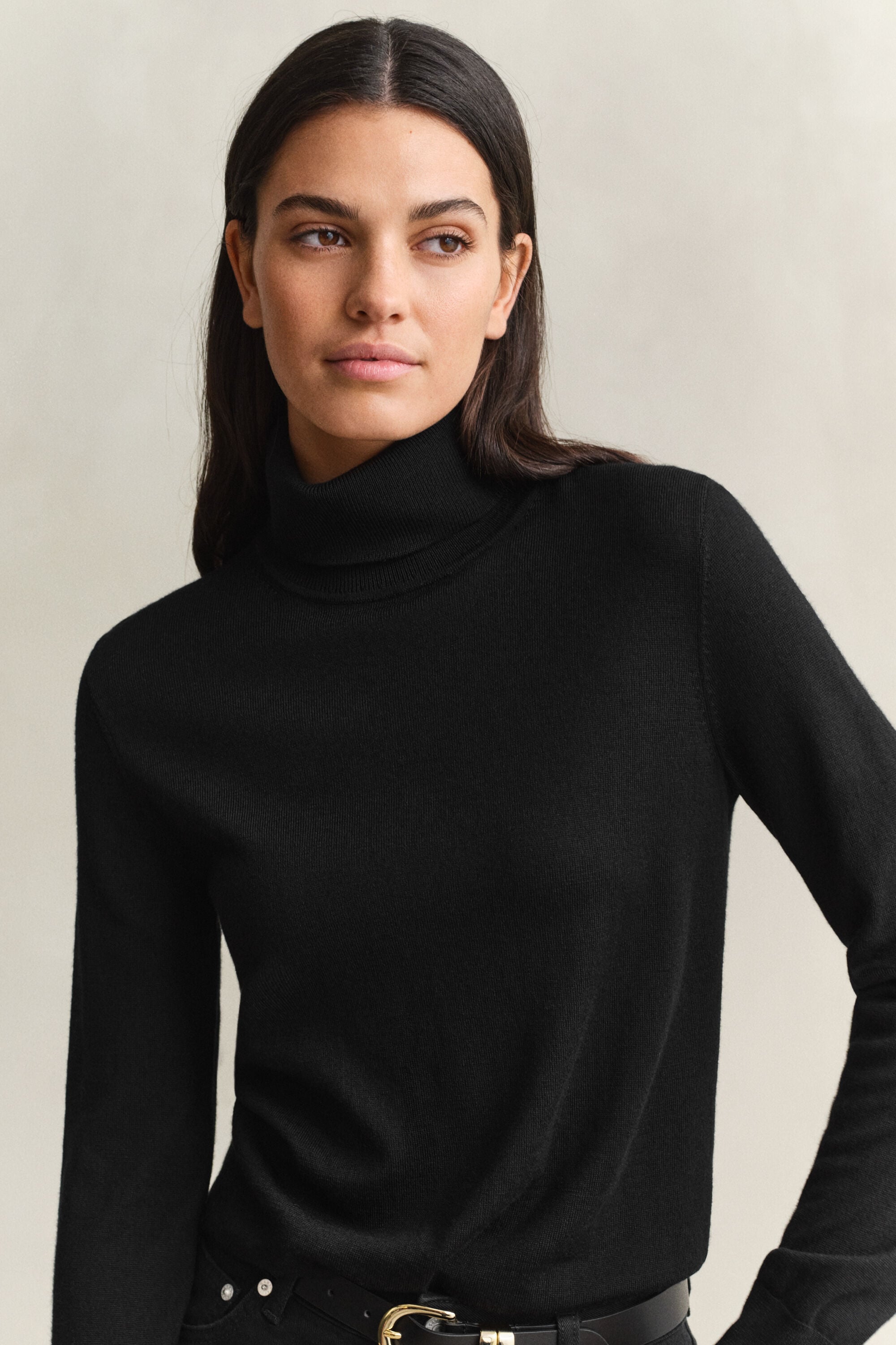 Extra Fine Merino Wool Turtleneck Sweater