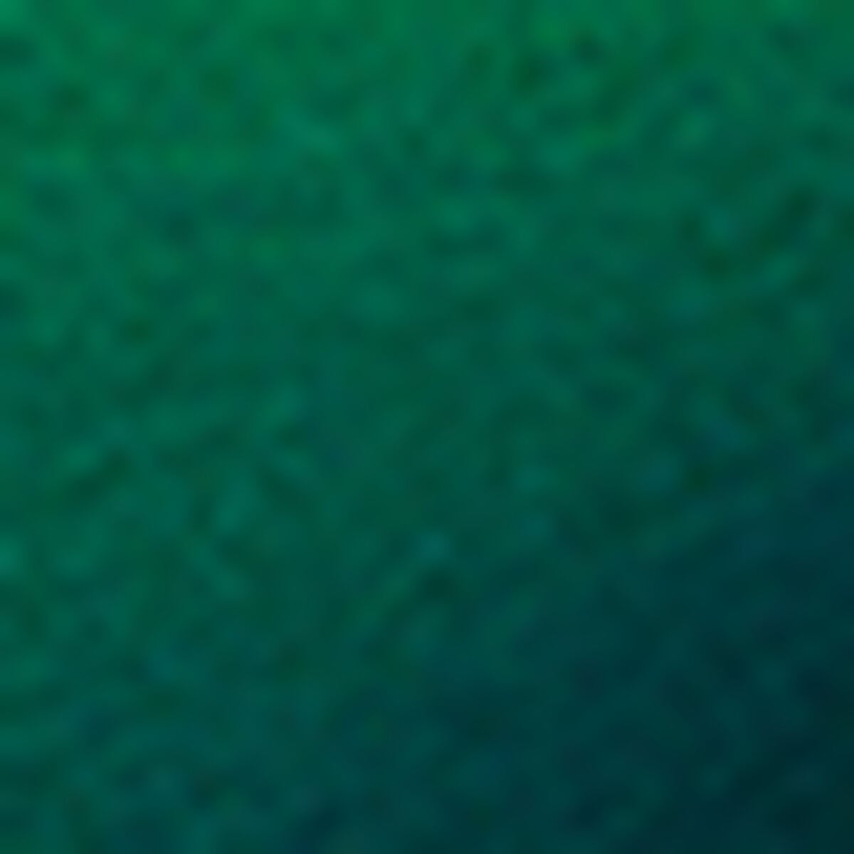 Sussex Wristwatch — IVY GREEN