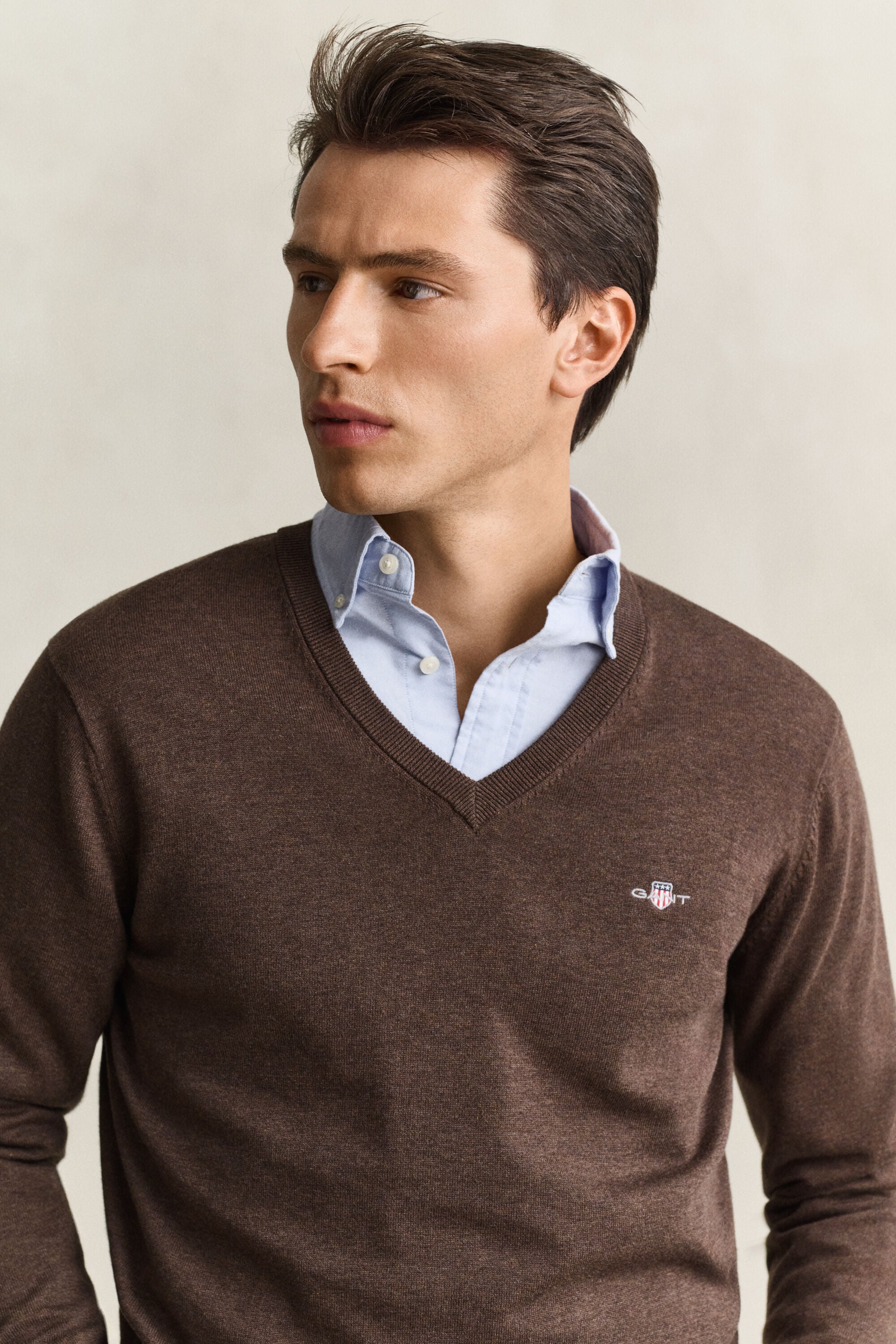Cotton V-Neck Sweater