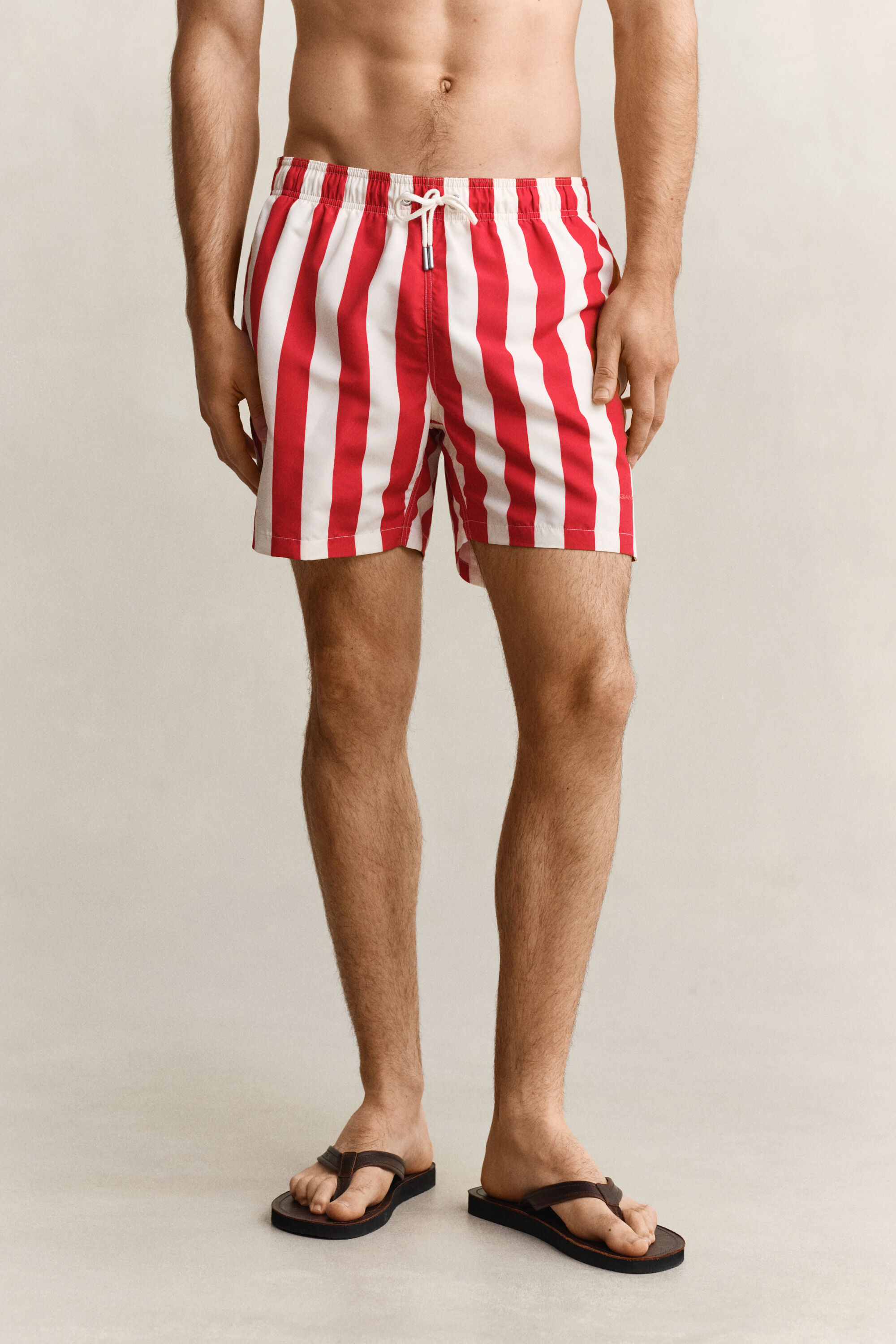 Block Striped Swim Shorts
