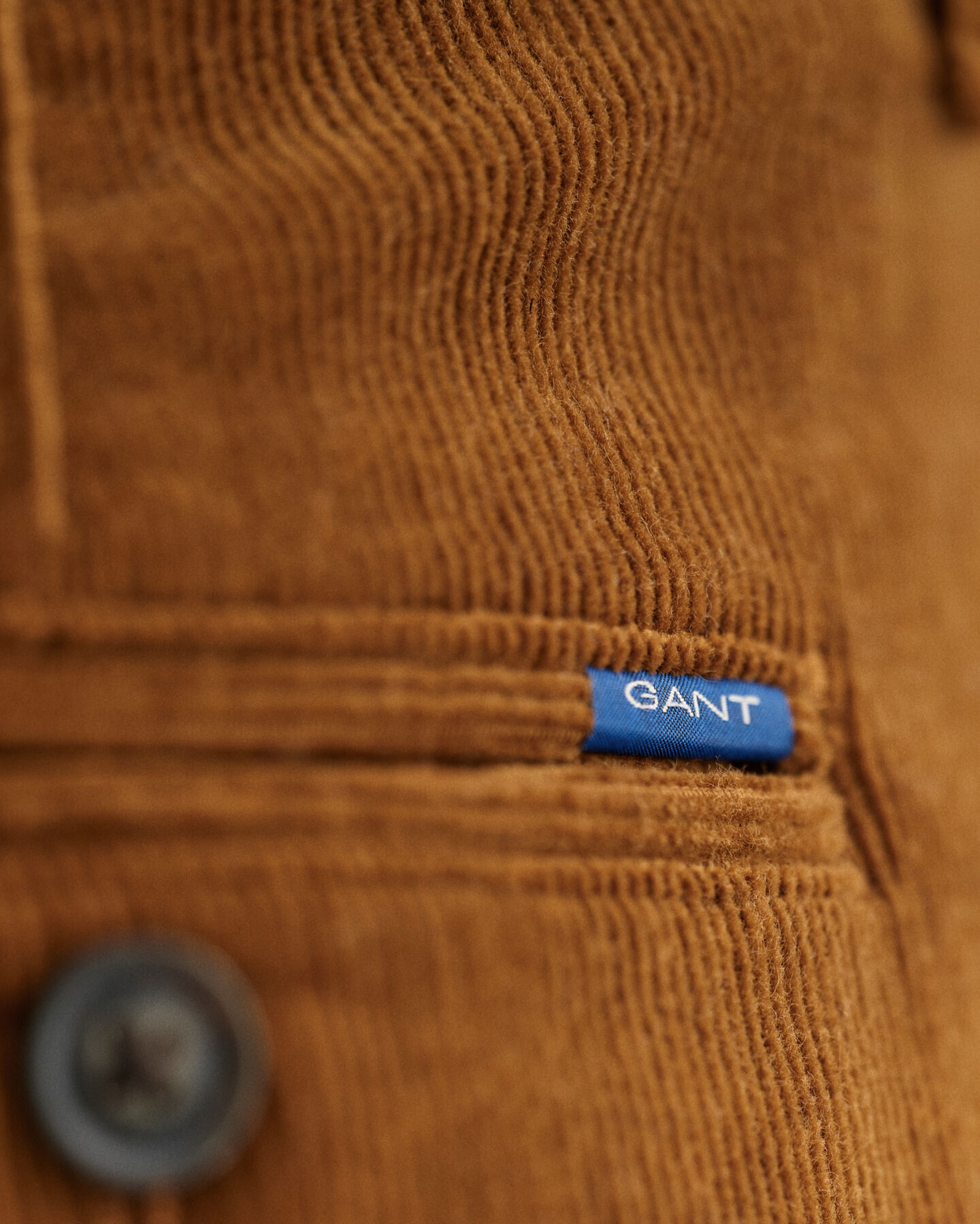 Allister Regular Fit Corduroy Chinos