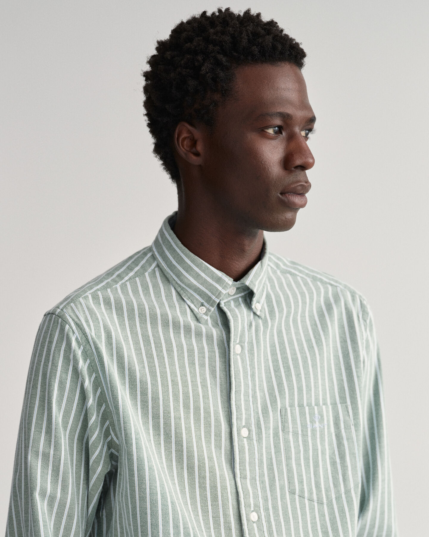 Regular Fit Light Oxford Stripe Shirt