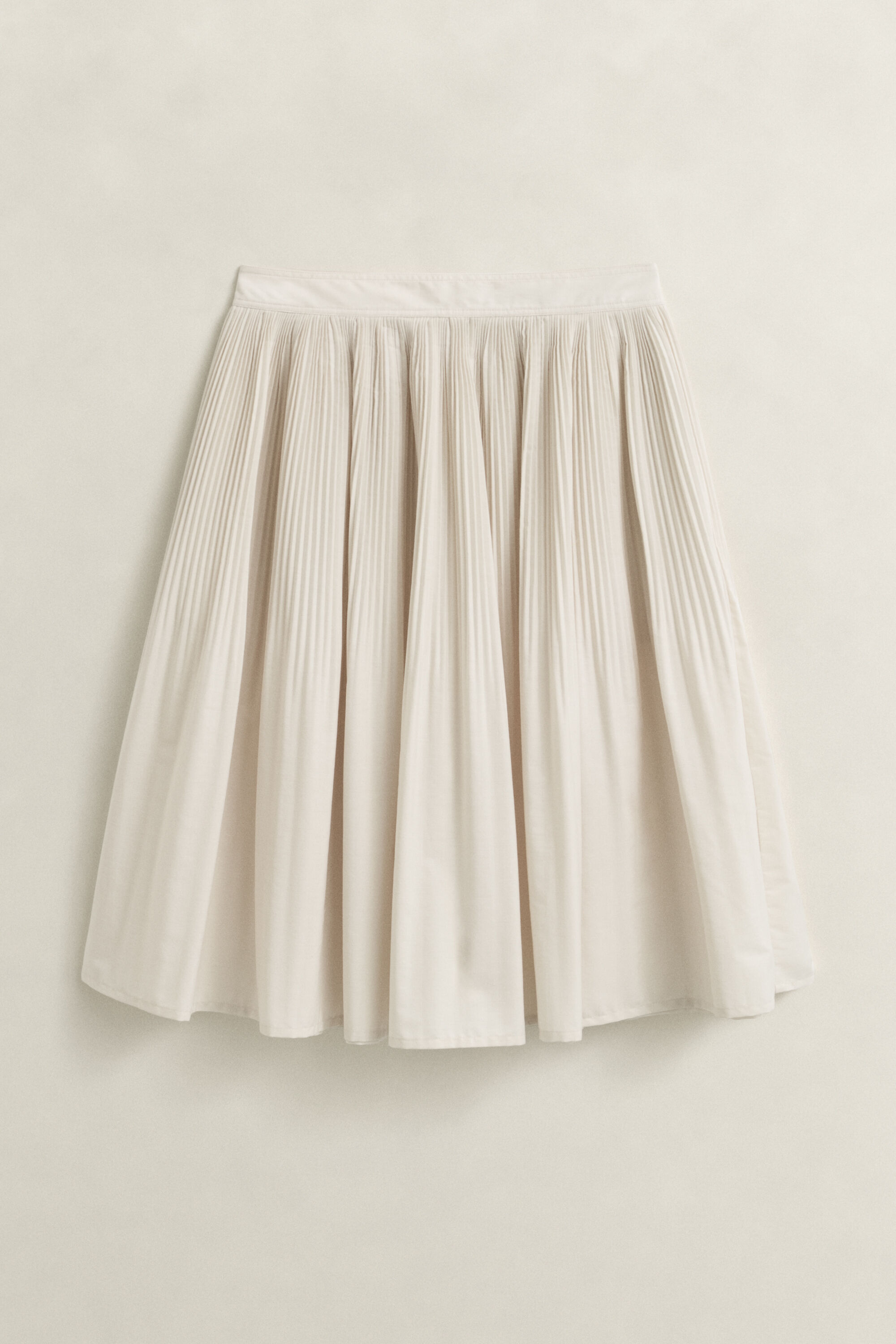 Pleated Skirt