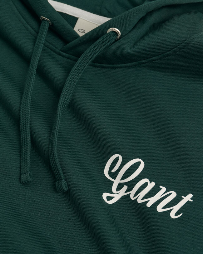 Small Graphic Hoodie