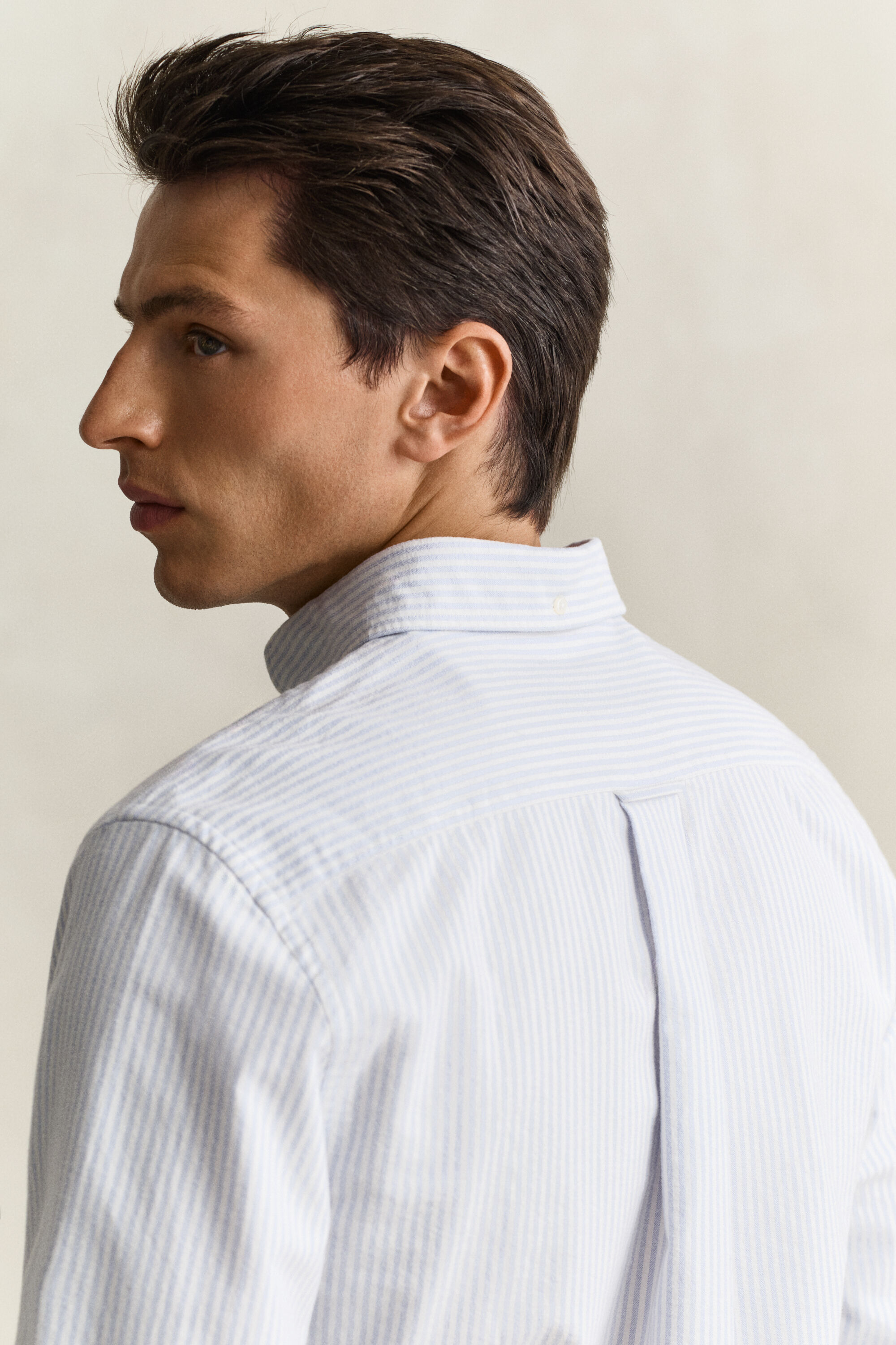 Striped Brushed Oxford Shirt