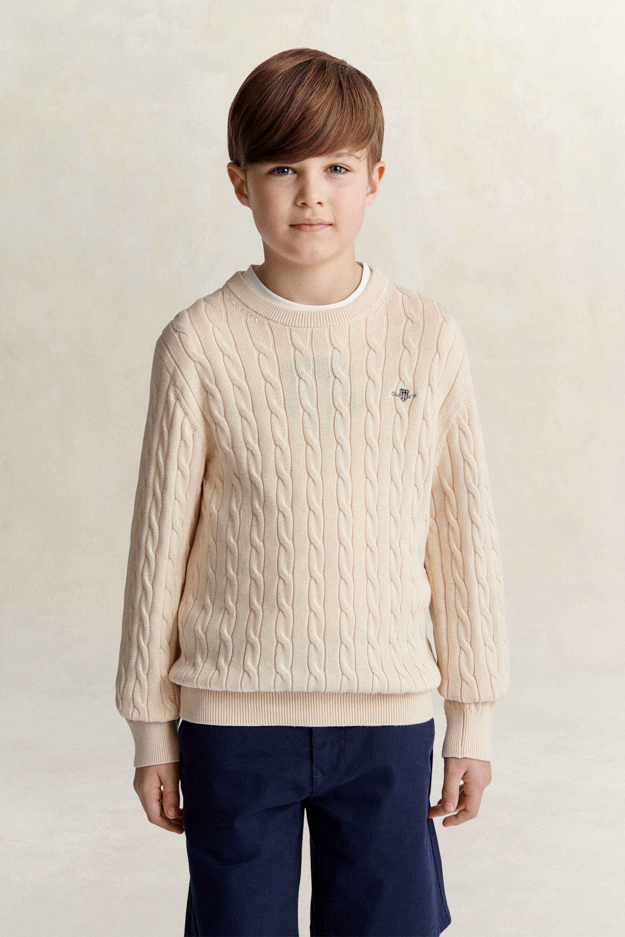 Teen Boys Shield Sweater