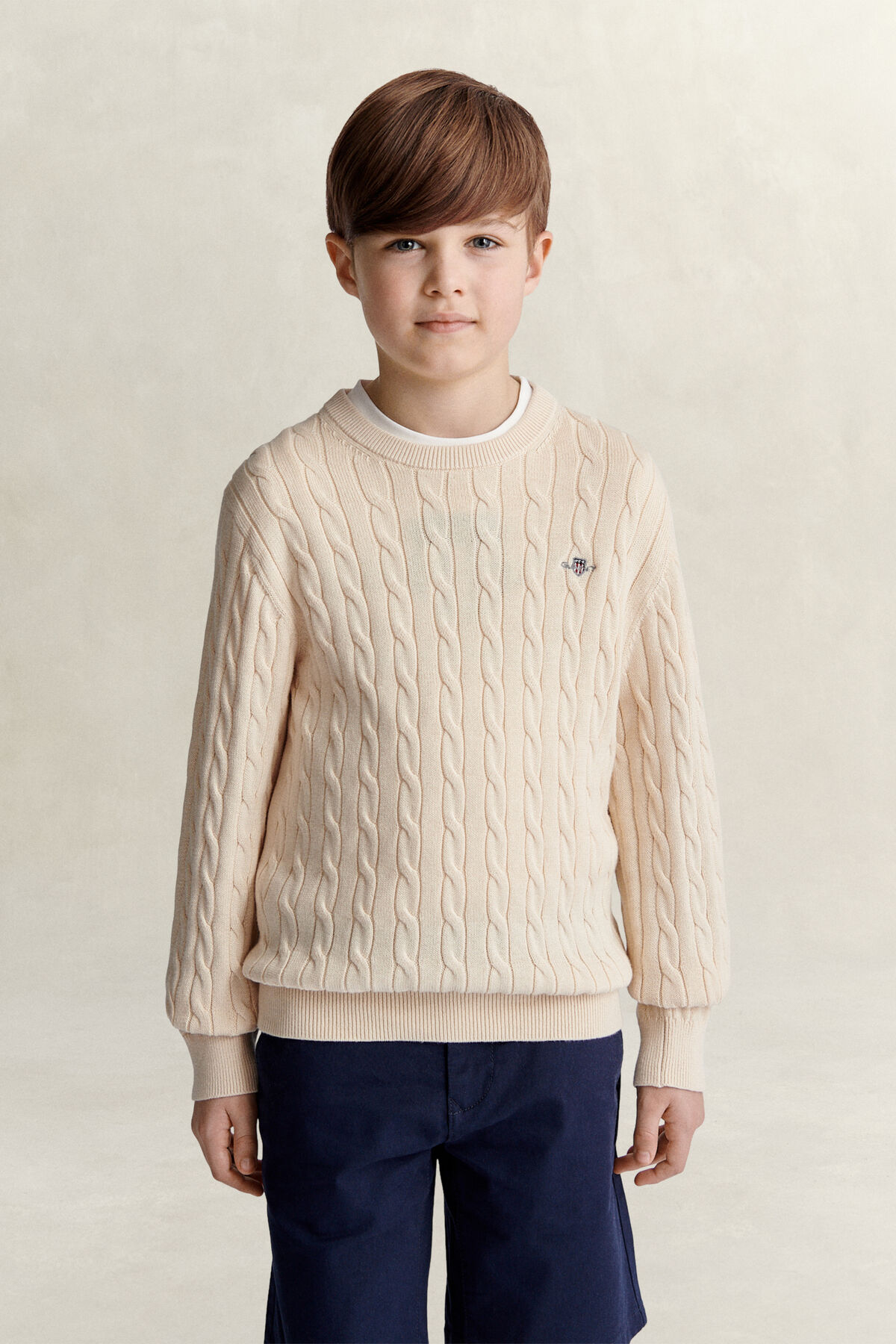 Teen Boys Shield Sweater — CREAMED WHITE
