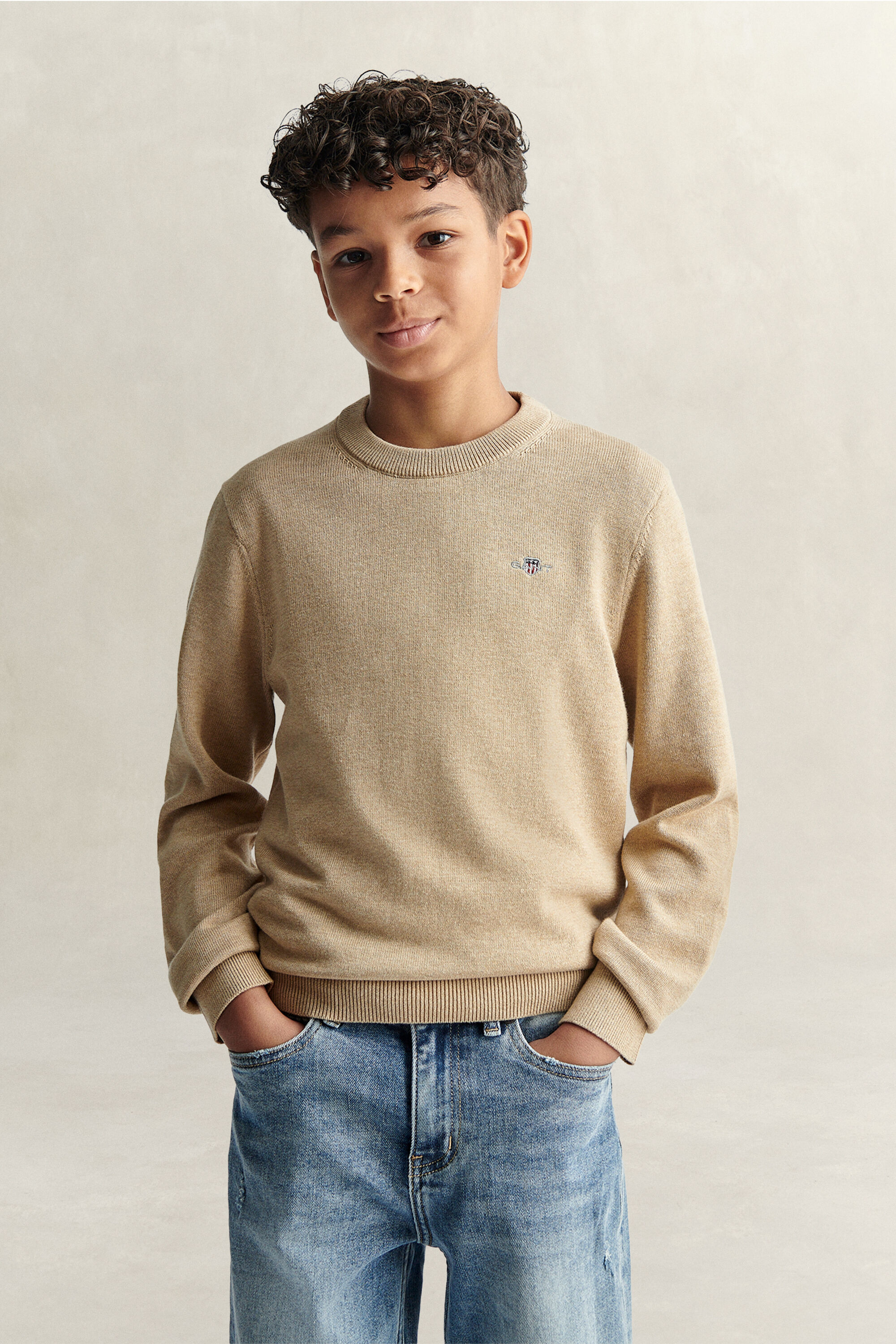 Teen Boys Shield Sweater