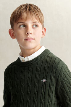 Teen Boys Shield Sweater — DARK MOSS GREEN 4