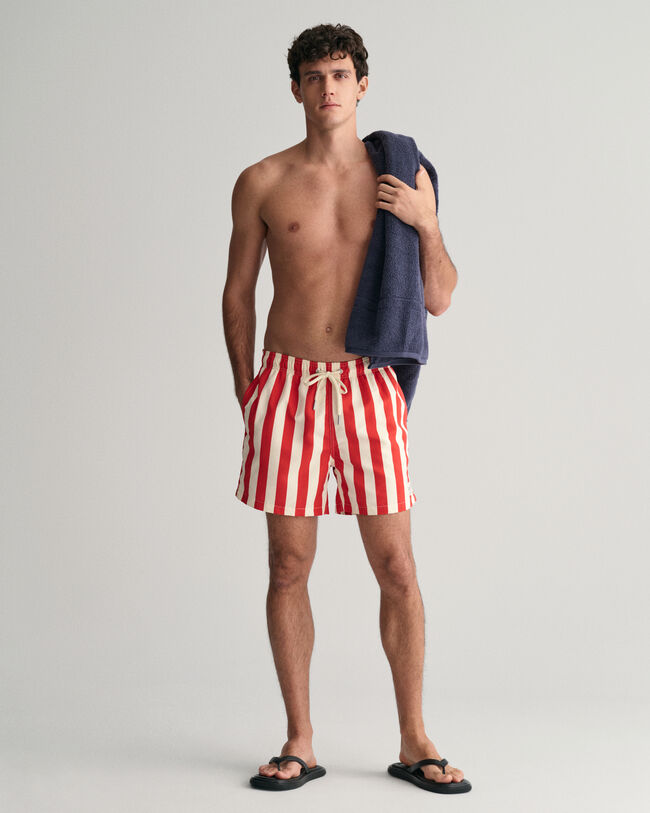 Block Striped Swim Shorts